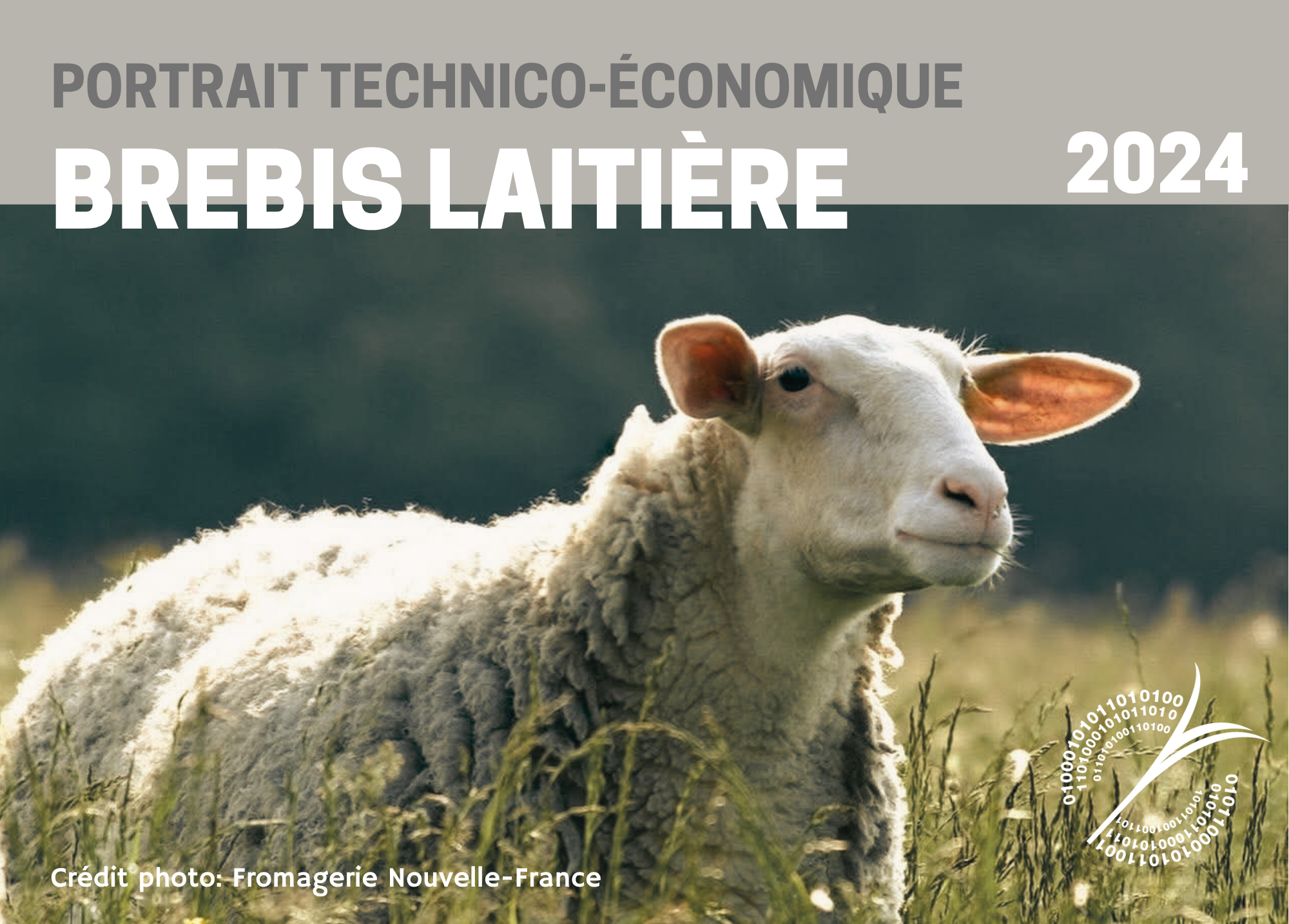 étude : PORTRAIT TECHNICO-ÉCONOMIQUE - BREBIS LAITIÈRE 2024